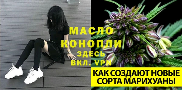 экстази Богородицк