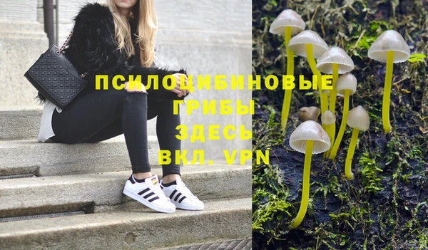 хмурый Богданович