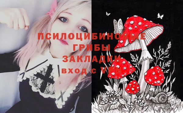 хмурый Богданович