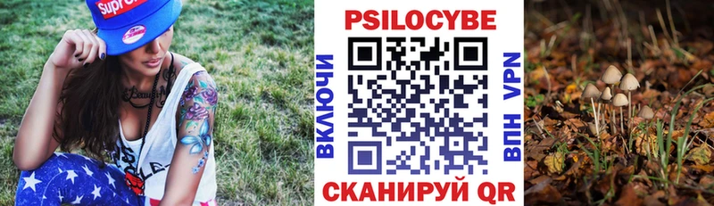 Псилоцибиновые грибы Psilocybine cubensis  купить   Подольск 